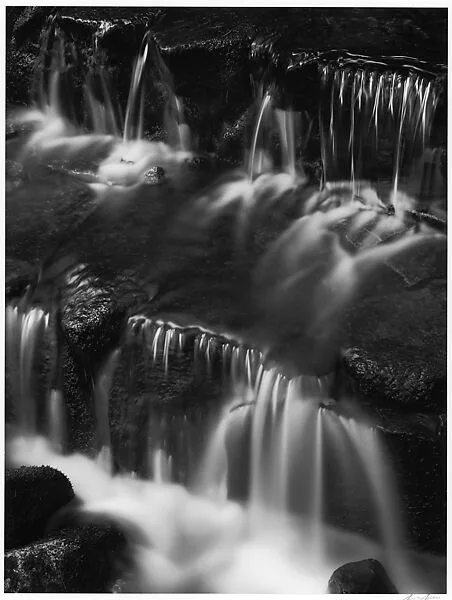 Fern Spring, Yosemite National Park, California — Ansel Easton Adams