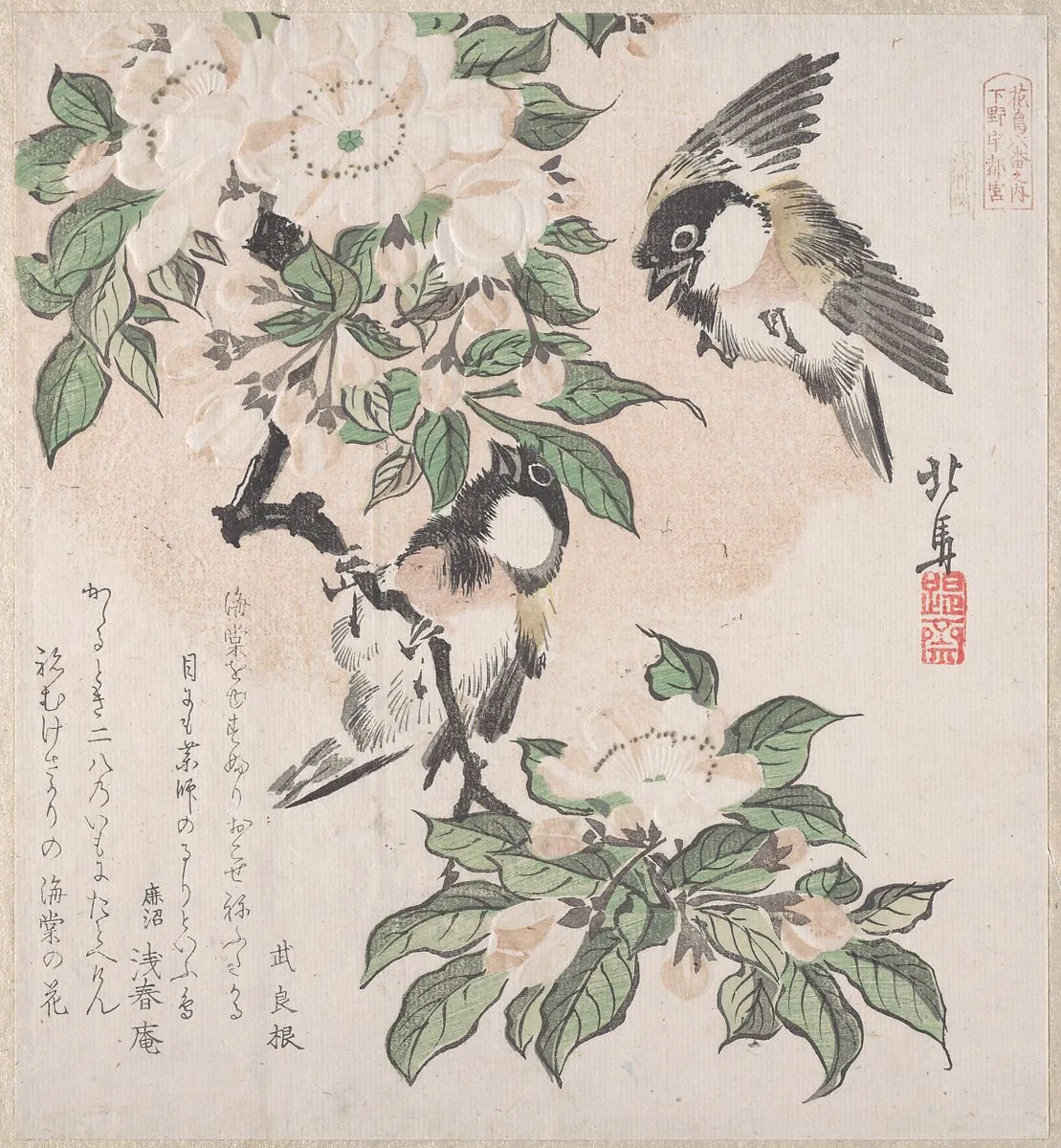 摺物帖 『春雨集』 『花鳥六番之内 下野宇都宮』 海棠に山雀|Spring Rain Collection (Harusame shū), vol. 3: Marsh-tits and Crab Apple Flowers — Teisai Hokuba