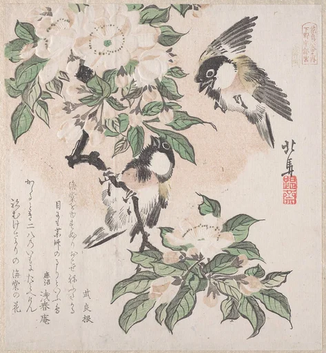 摺物帖 『春雨集』 『花鳥六番之内 下野宇都宮』 海棠に山雀|Spring Rain Collection (Harusame shū), vol. 3: Marsh-tits and Crab Apple Flowers