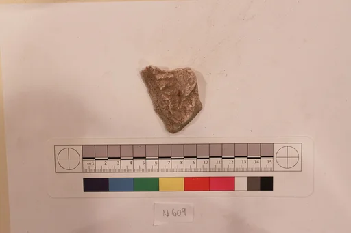 Stucco Fragment