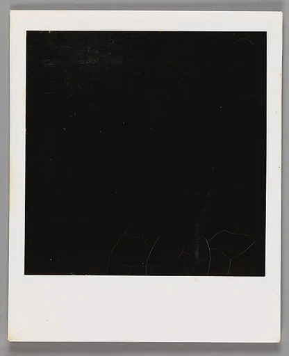 [Unidentifiable Blurred and Abstract Forms]