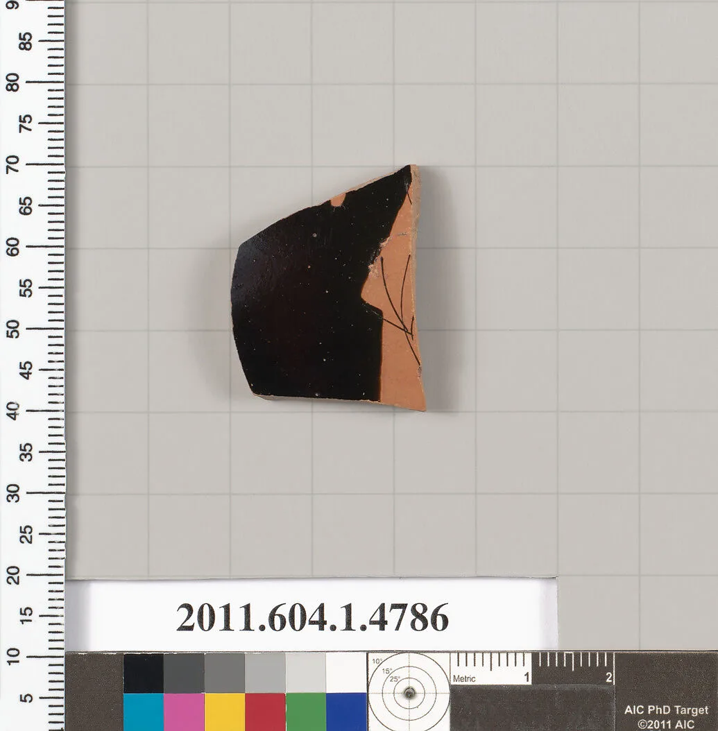 Terracotta fragment of a kylix (drinking cup) — Unknown