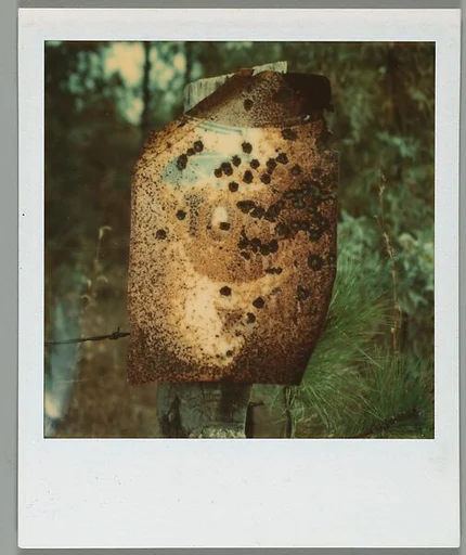 [Topp's Snuff Sign, Alabama]
