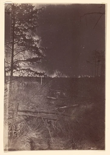 [The Wilderness Battlefield]