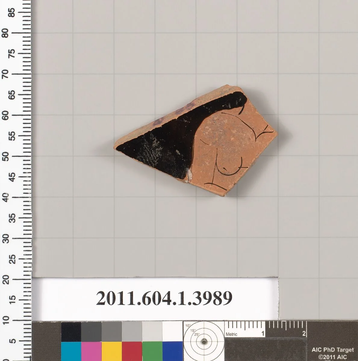 Terracotta fragment of a kylix (drinking cup) — Unknown