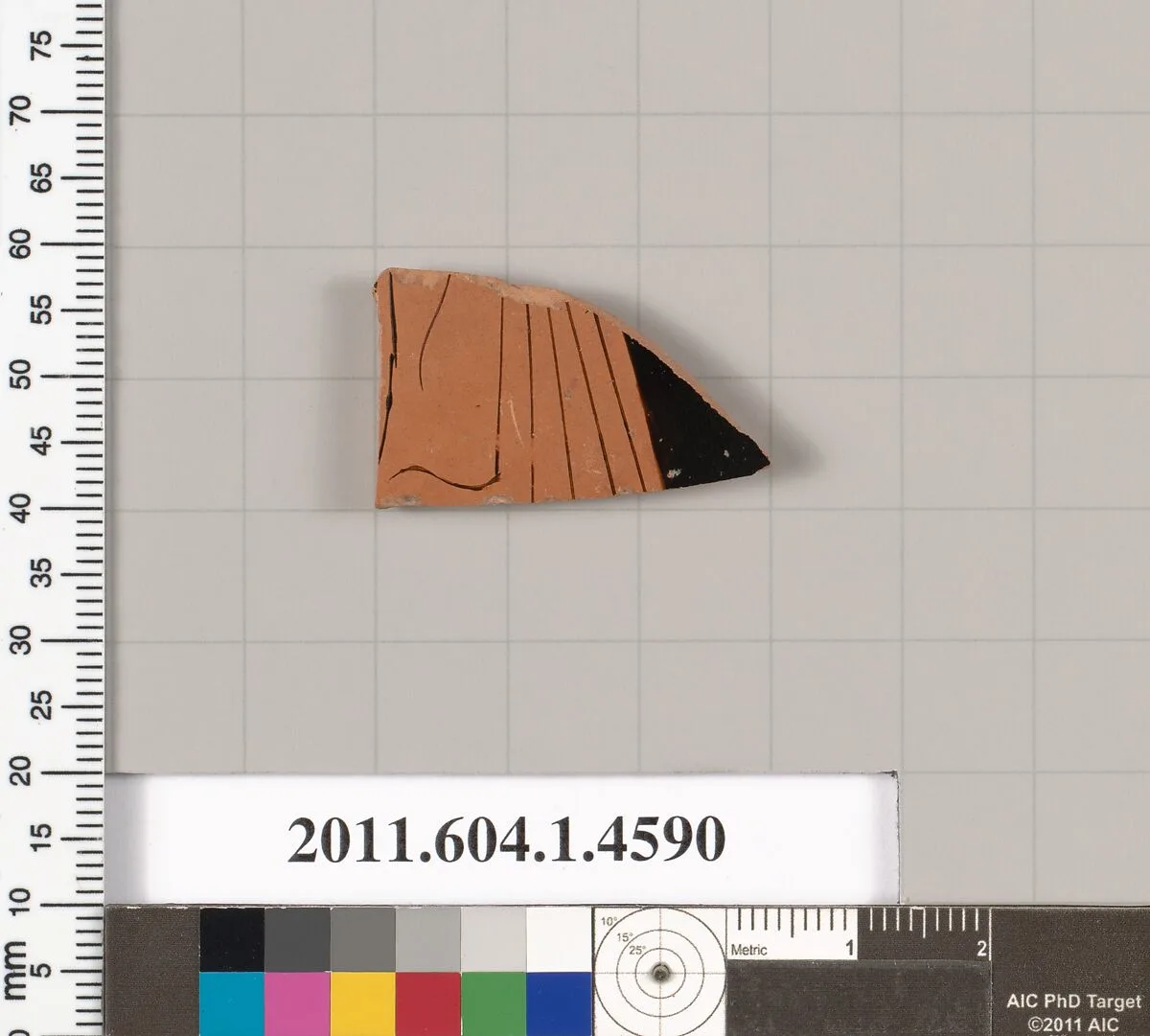 Terracotta fragment of a kylix (drinking cup) — Unknown