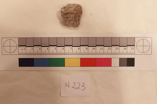Stucco Fragment