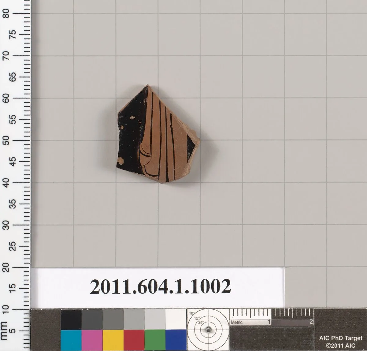 Terracotta fragment of a kylix (drinking cup) — Unknown