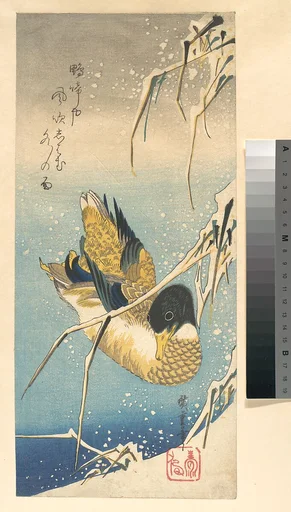 歌川広重画 雪中芦に鴨|Mallard Duck and Snow-covered Reeds