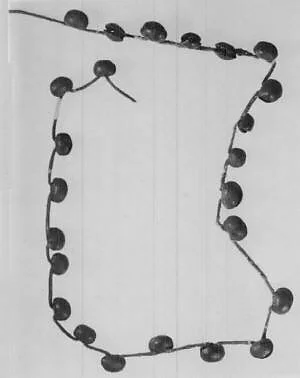 Strap of Bells