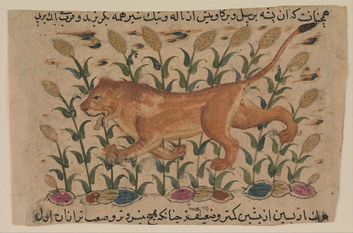 " A Lion", Folio from a Dispersed Nuzhatnama-i ‘Ala’i of Shahmardan ibn Abi’l Khayr — Shamardan ibn Abi 'l Khayr