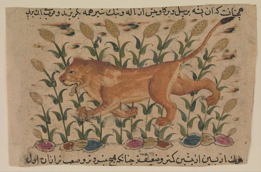 " A Lion", Folio from a Dispersed Nuzhatnama-i ‘Ala’i of Shahmardan ibn Abi’l Khayr