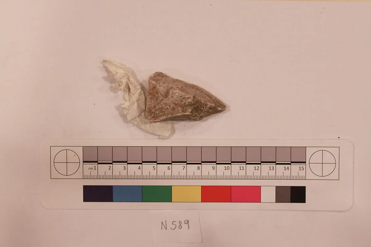 Stucco Fragment — Unknown