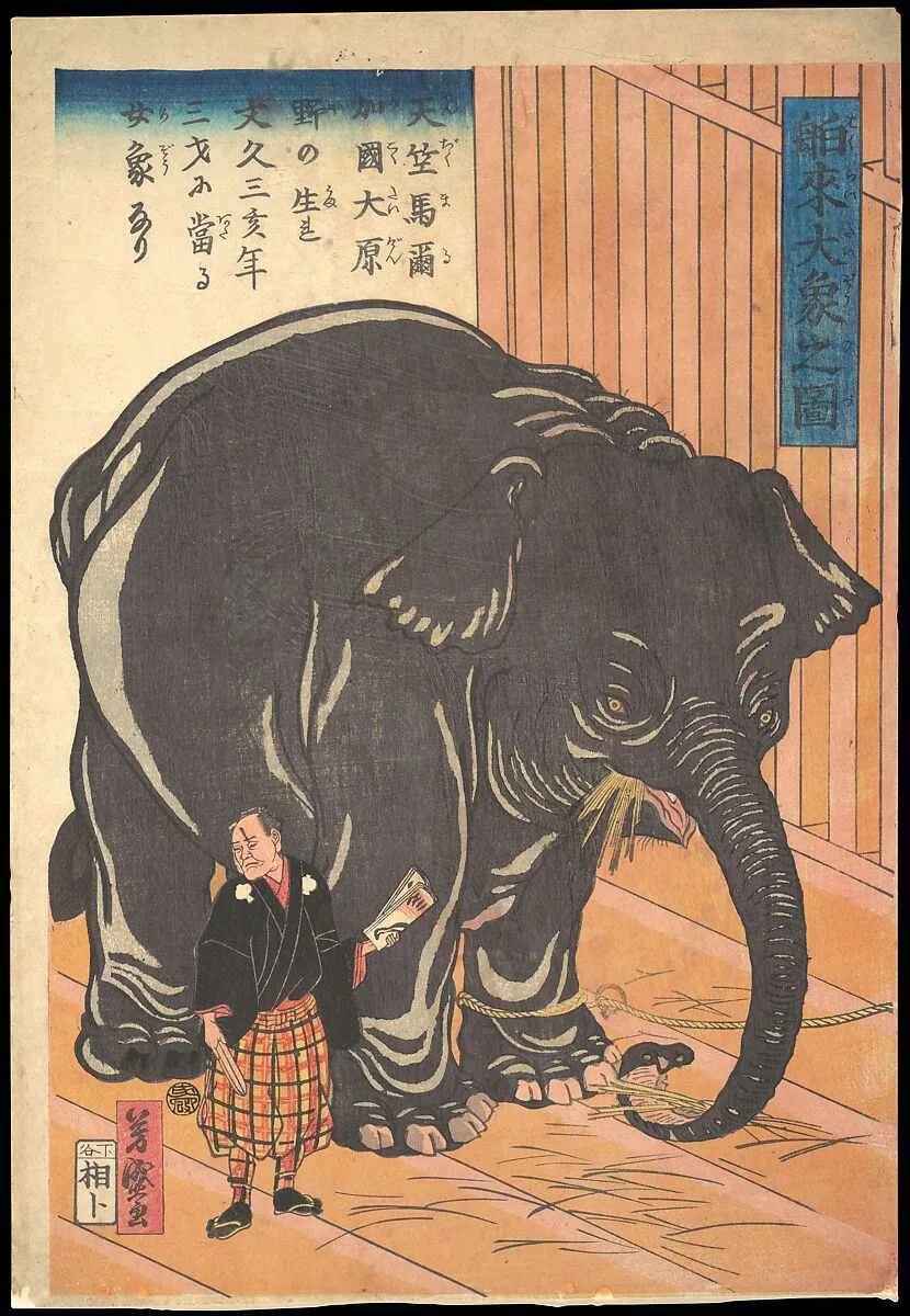 Hakurai taizo no zu|View of the Large Imported Elephant — Taguchi (Utagawa) Yoshimori