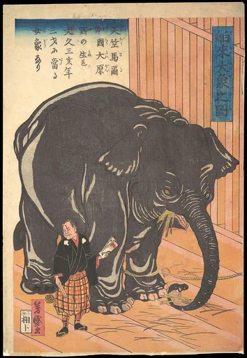 Hakurai taizo no zu|View of the Large Imported Elephant