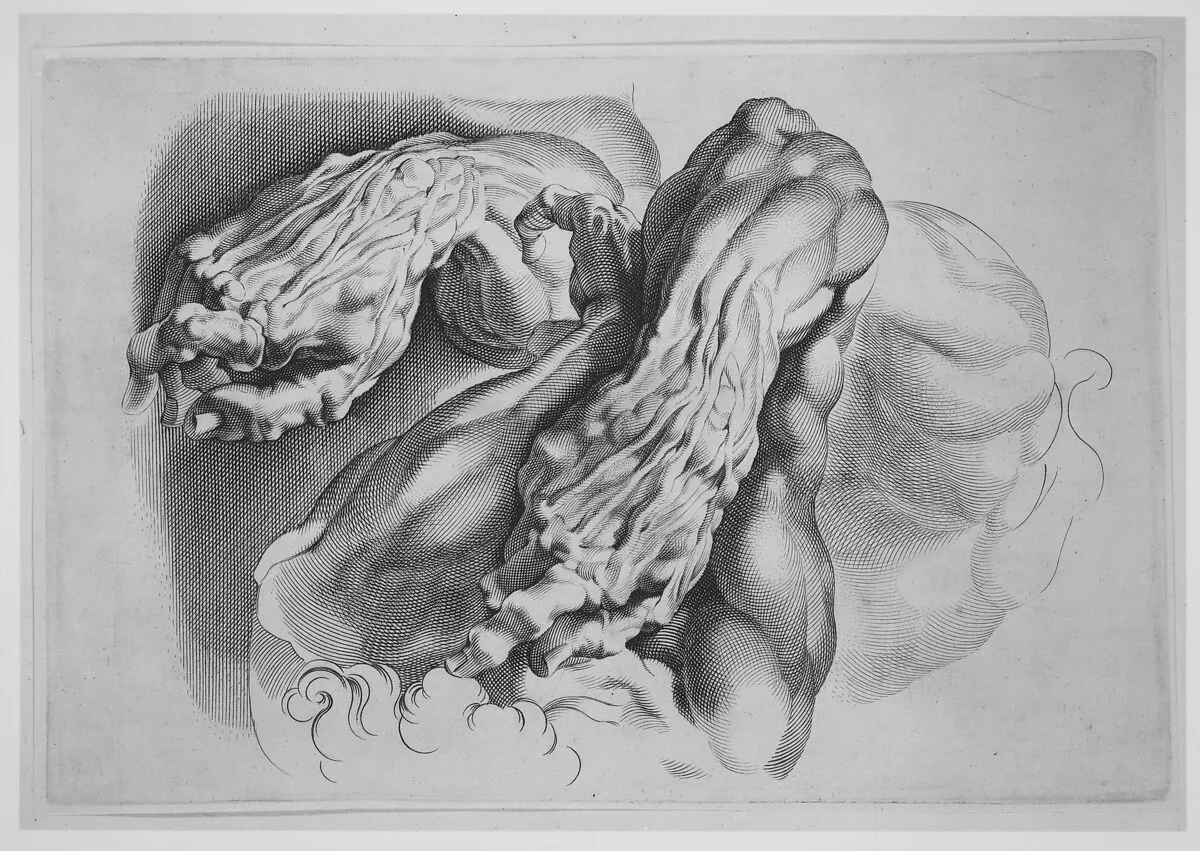 Three Studies of Écorchés — Paulus Pontius|Peter Paul Rubens
