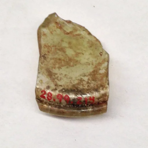 Fragment