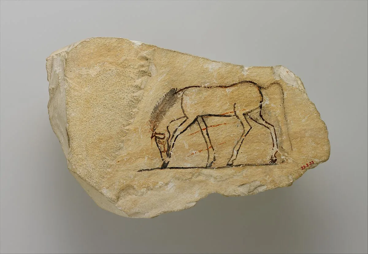 Artist's Sketch of a Horse — Unknown