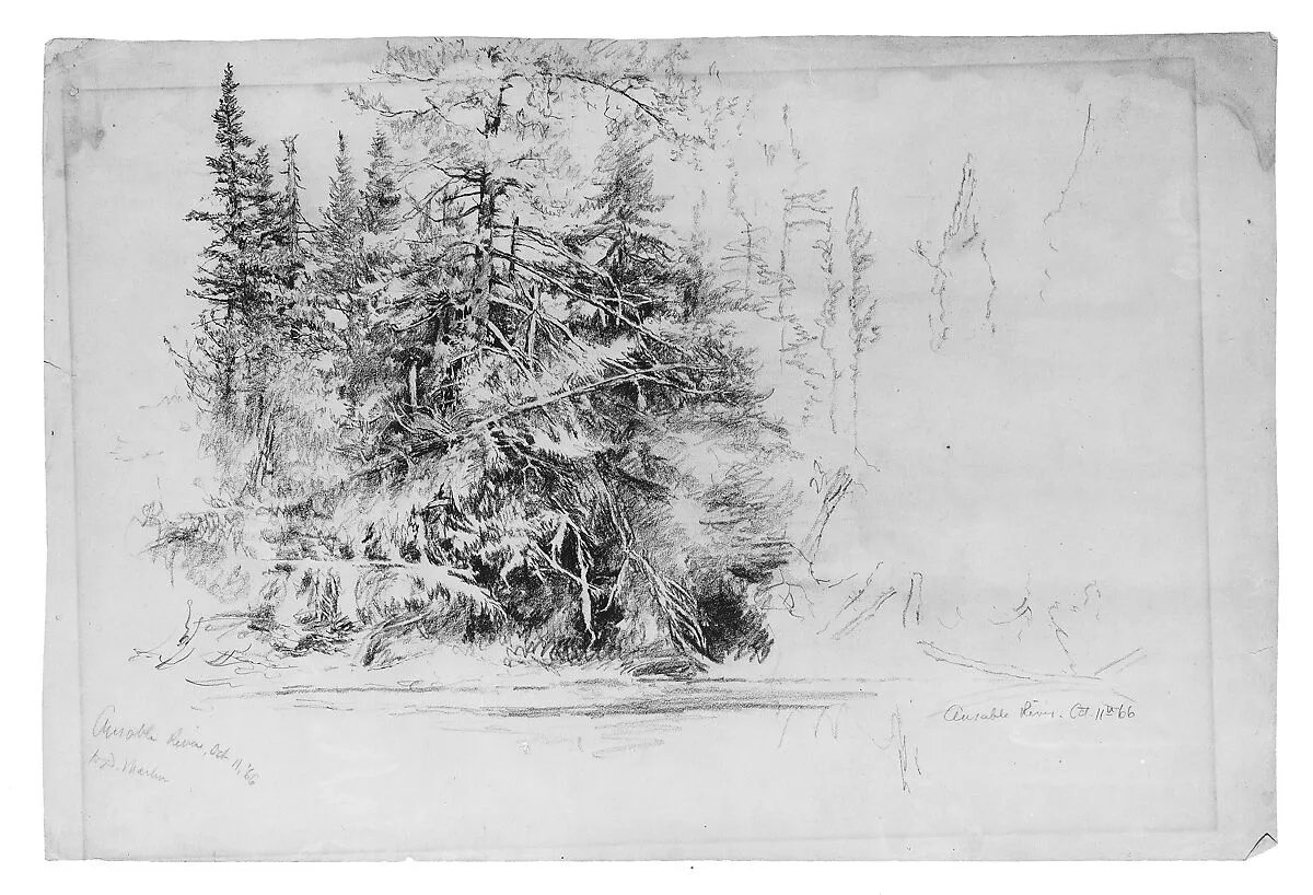 Ausable River — Homer Dodge Martin