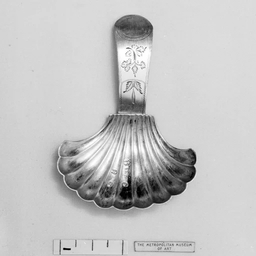 Caddy spoon