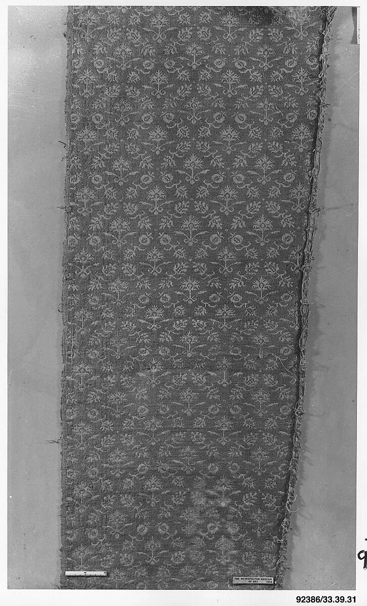 Fragment — Unknown