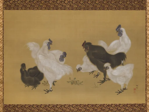 森狙仙筆　烏骨鶏図|Silkies