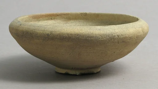 Dish