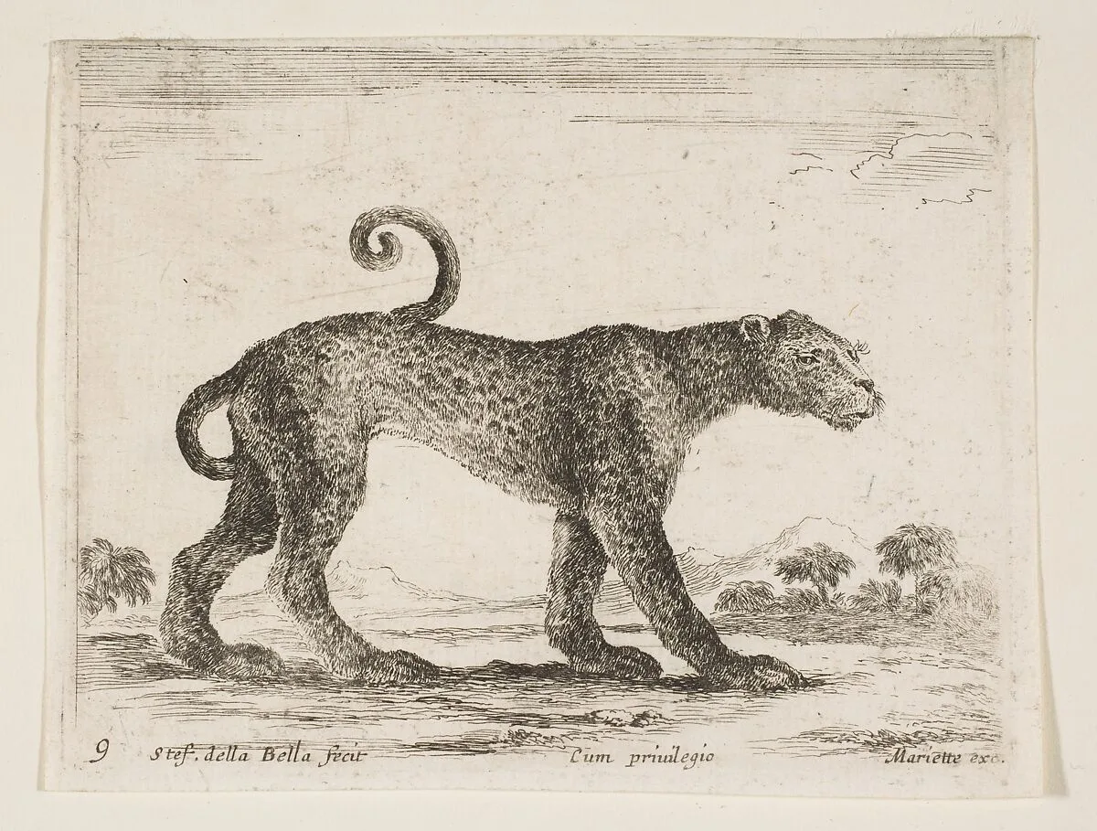 Leopard, plate 9 from "Various Animals" (Diversi Animali) — Stefano della Bella|Pierre Mariette