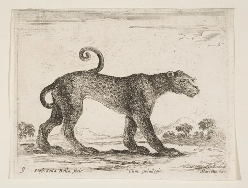 Leopard, plate 9 from "Various Animals" (Diversi Animali)