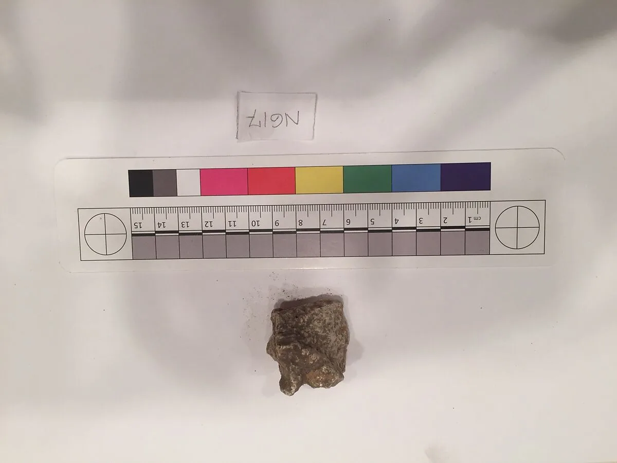 Stucco Fragment — Unknown