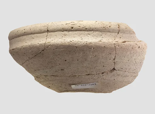 Bowl rim sherd