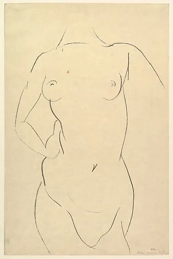 Torso, frontal view