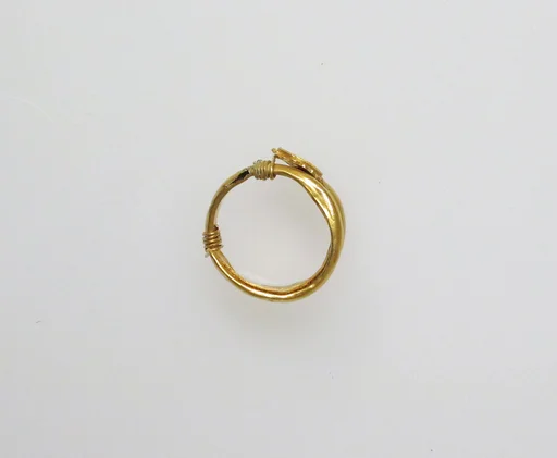 Earring or hair coil