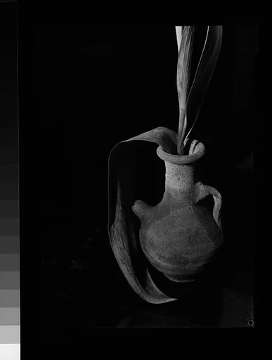 [Crude Unglazed Ceramic Vase with Tulip Leaves]