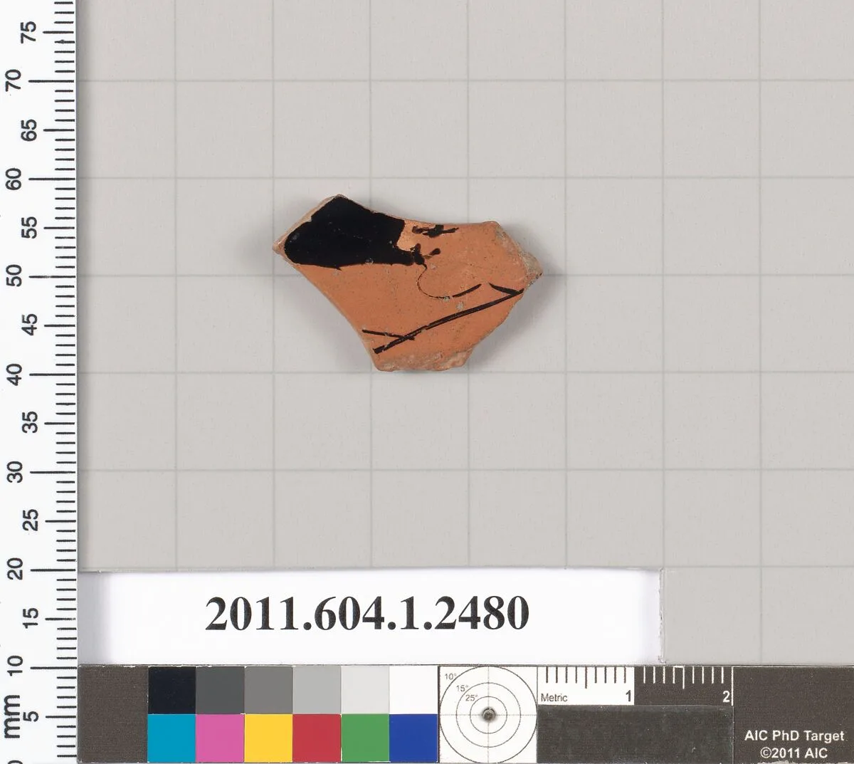 Terracotta fragment of a kylix (drinking cup) — Unknown