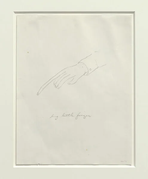 Big Little Finger — William Wegman