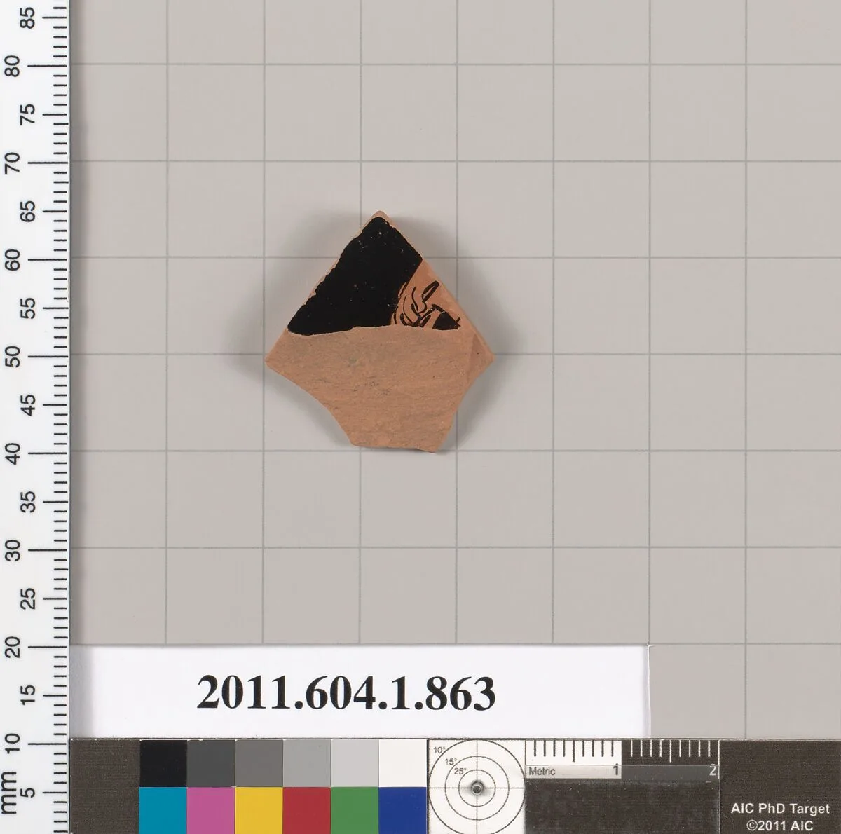 Terracotta fragment of a kylix (drinking cup) — Unknown