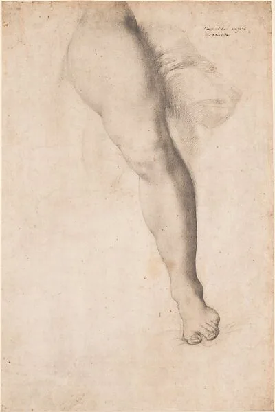 Study of a Left Leg and Drapery — Bronzino (Agnolo di Cosimo di Mariano)