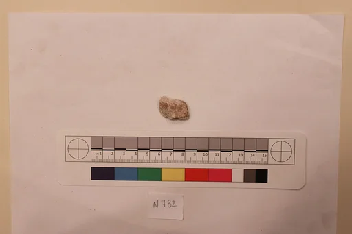 Stucco Fragment