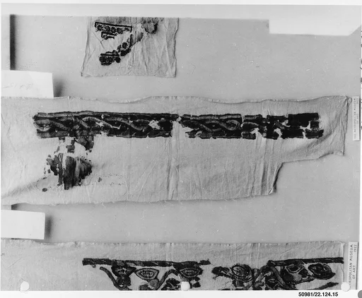 Textile Fragment