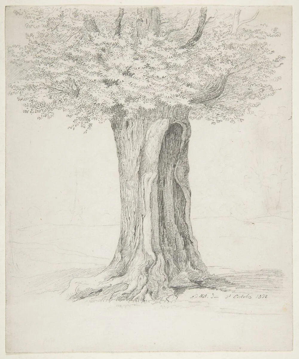 Study of a Tree; verso: Study of Houses — Ernst Ferdinand Oehme