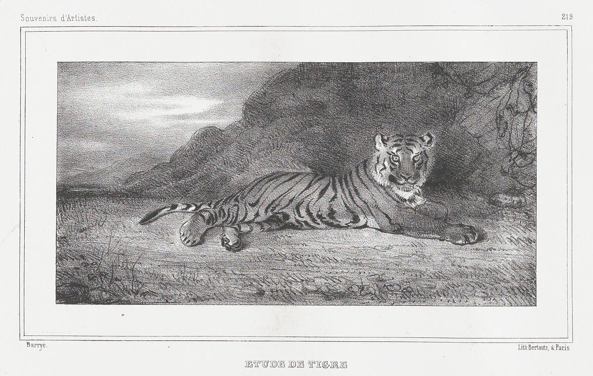 Study of a Tiger — Antoine-Louis Barye