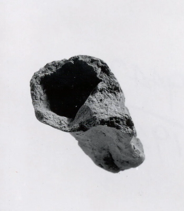 Fragment of animal figurine — Unknown