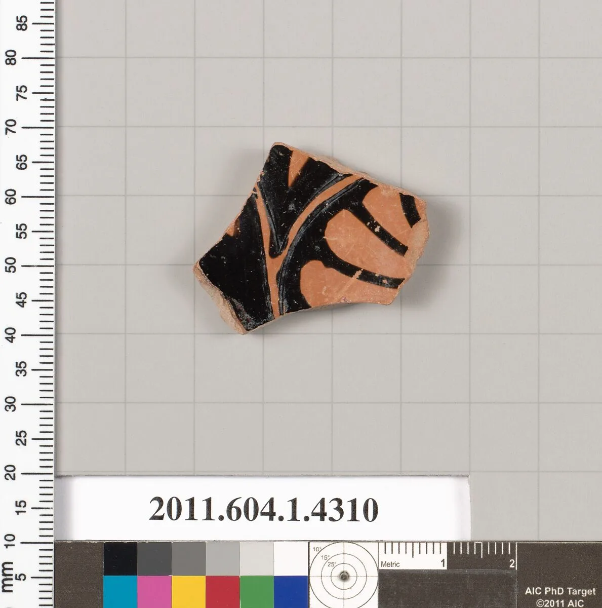 Terracotta fragment of a kylix (drinking cup) — Unknown