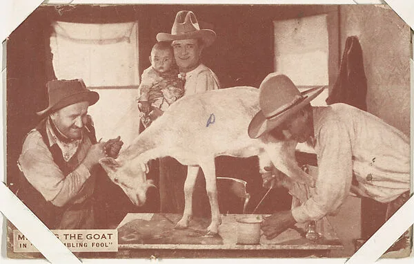 Milking the goat in "The Gambling Fool" from Western Stars or Scenes Exhibit Cards series (W412) — Unknown