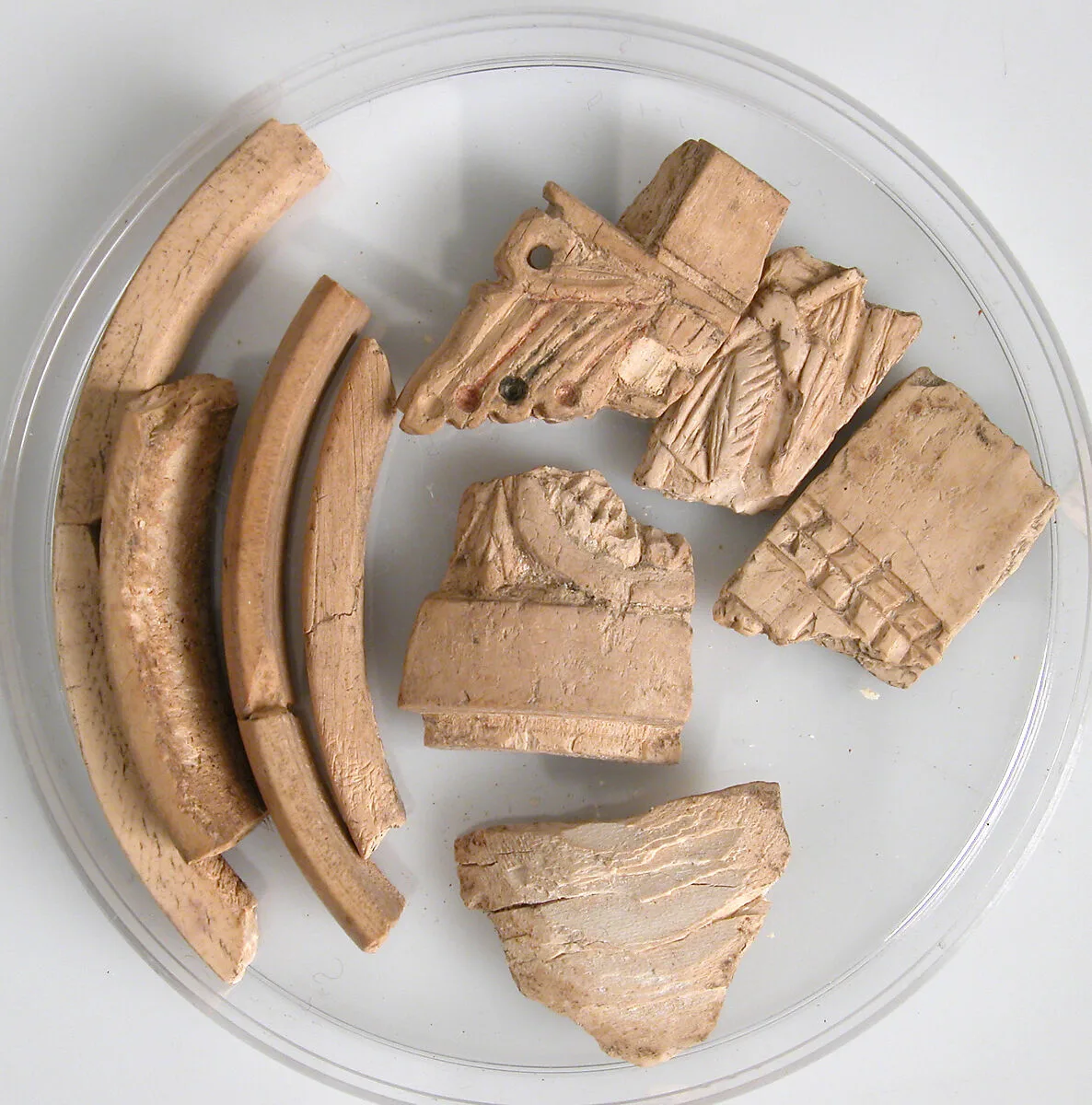 Ivory Fragments — Unknown