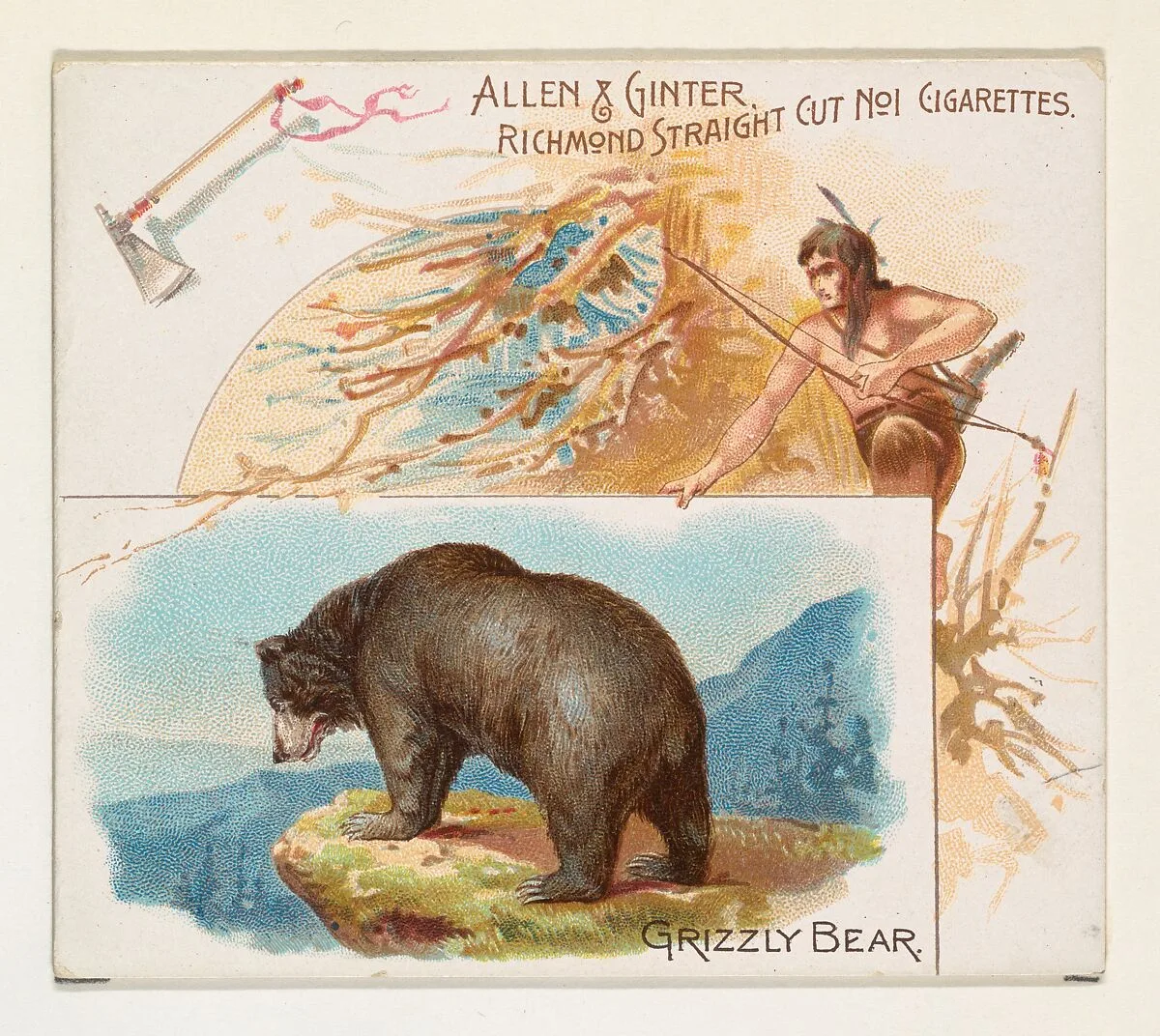 Grizzly Bear, from Quadrupeds series (N41) for Allen & Ginter Cigarettes — Allen & Ginter|Lindner, Eddy & Claus