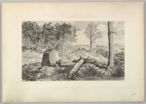 Simplicius in der Waldeinöde, from the series Intermezzi