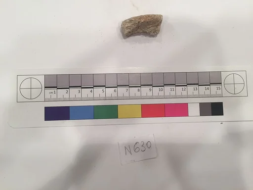 Stucco Fragment