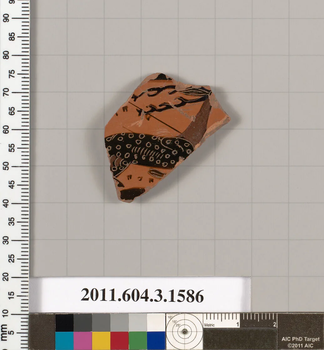 Terracotta fragment of a kylix: Band cup (drinking cup) — Unknown